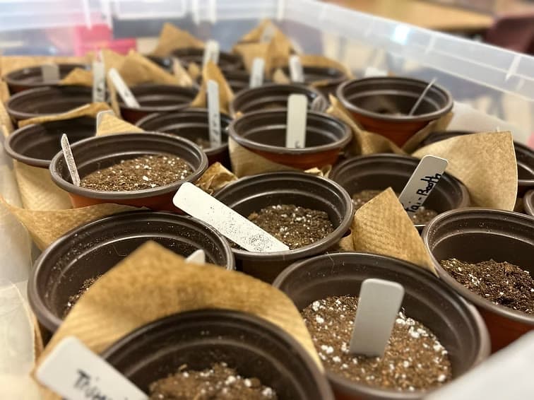 Biology Program